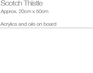 thistle_head