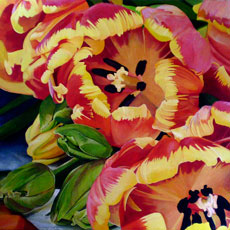 tulips_amst_thumb